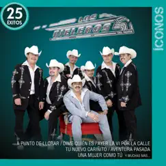 Íconos: Los Rieleros del Norte - 25 Éxitos by Los Rieleros del Norte album reviews, ratings, credits