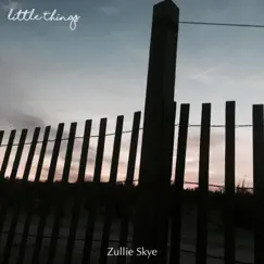 Little Things - Single by Zullie Skye album reviews, ratings, credits