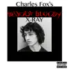 Bloody Bloody X-Ray album lyrics, reviews, download