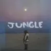 Jungle (Acoustic Version) - Single album lyrics, reviews, download