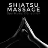 Shiatsu Massage: Spa Music Collection for Asian Spas, Asian Yoga & Meditation Music for a Beauty Day in Total Relax album lyrics, reviews, download