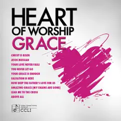 Heart of Worship - Grace by Various Artists album reviews, ratings, credits