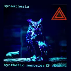 Synthetic Memories Song Lyrics