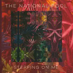 Stepping on Me - Single by The National Pool album reviews, ratings, credits