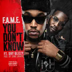 You Don't Know (feat. Shy Glizzy) - Single by F.A.M.E. album reviews, ratings, credits
