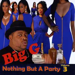Nothing but a Party, Vol. 3 by Big G album reviews, ratings, credits
