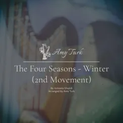 Winter, 2nd Movement (From the Four Seasons) - Single by Amy Turk album reviews, ratings, credits