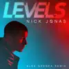 Levels (Alex Ghenea Radio Edit) song lyrics