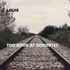 Too Good At Goodbyes Song Lyrics