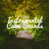 Instrumental Calm Sounds: Relaxation Moods, Spa Music, Sleep Meditation Music, Zen Therapy, Sea Ambient & Nature album lyrics, reviews, download