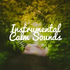 Instrumental Calm Sounds Song Lyrics