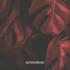 In the Jungle - Single by Matthew Dreiling album reviews, ratings, credits