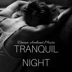 Tranquil Night: Easy Fall Asleep, Lullabies for Adults, Evening session, Music for Sleep, Dream Ambient Music by Frank Easy album reviews, ratings, credits