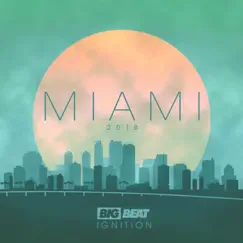 Big Beat Ignition: Miami 2018 by Various Artists album reviews, ratings, credits