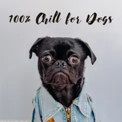 100% Chill for Dogs - Help Dog and Puppy Anxiety from Fireworks, Bangs and Loud Noises by Pet Music Academy album reviews, ratings, credits