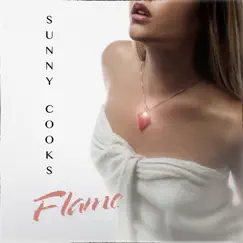 Flame - Single by Sunny Cooks album reviews, ratings, credits