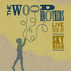 Live, Vol. 1: Sky High by The Wood Brothers album reviews, ratings, credits