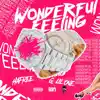 Wonderful Feeling - Single album lyrics, reviews, download
