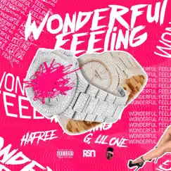 Wonderful Feeling - Single by Hafree & G. LilOne album reviews, ratings, credits