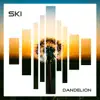 Dandelion - EP album lyrics, reviews, download