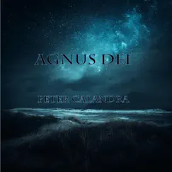 Agnus Dei Song Lyrics