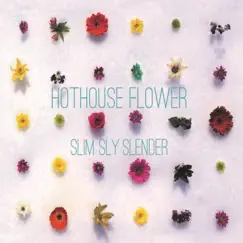 Hothouse Flower Song Lyrics