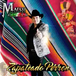 Zapateado Perrón by Marco Flores Y La Jerez album reviews, ratings, credits