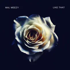 Like That (Treat Me Like Somebody Remix) - Single by Mal Meezy album reviews, ratings, credits