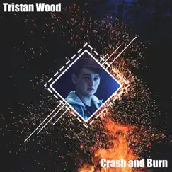 Crash and Burn - Single by Tristan Wood album reviews, ratings, credits
