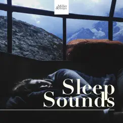 Sleep Sounds (Calming Soothing Sounds) by Quiet Moments album reviews, ratings, credits