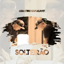 Solteirão - Single by Leandro Sapucahy album reviews, ratings, credits