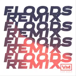 Floods (Remix) [feat. Raiah Granchukoff] - Single by Vida Music album reviews, ratings, credits