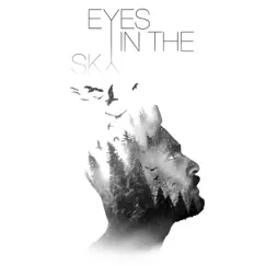 Eyes In the Sky Song Lyrics