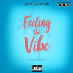 Feeling the Vibe (feat. Ckamz & Arddie) Song Lyrics