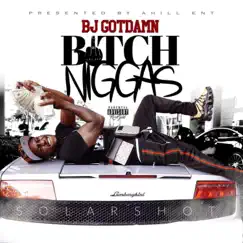 Bitch N****s - Single by Bj Gotdamn album reviews, ratings, credits