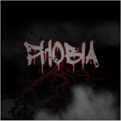 Phobia (feat. New Born) - Single by Crown One album reviews, ratings, credits