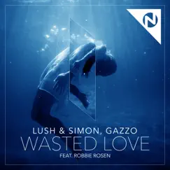 Wasted Love (feat. Robbie Rosen) - Single by Lush & Simon & Gazzo album reviews, ratings, credits
