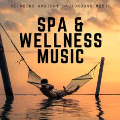 Relaxing Background Music for Complete Ease Song Lyrics