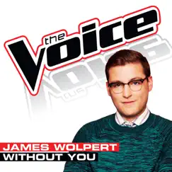 Without You (The Voice Performance) Song Lyrics