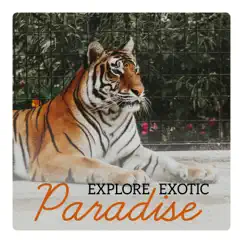 Explore Exotic Paradise: Jungle Life, Discover Lost Eden, Wilderness Relaxation, Tropical Oasis, Uncharted Rainforest Island by Exotic Nature Kingdom album reviews, ratings, credits