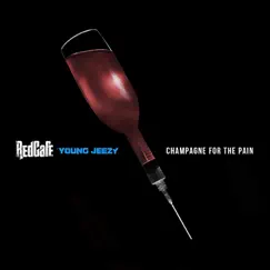 Champagne For the Pain (feat. Young Jeezy) Song Lyrics