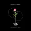 Perfect Lovers (Mozby Remix) [feat. Marcus Järvinen] - Single album lyrics, reviews, download