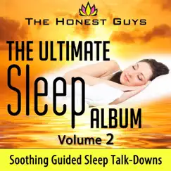The Ultimate Sleep Album, Vol 2: Soothing Guided Sleep Talk-Downs by The Honest Guys album reviews, ratings, credits
