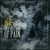 Definition of Pain album lyrics, reviews, download