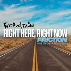 Right Here, Right Now (Friction One in the Jungle Remix) - Single by Fatboy Slim album reviews, ratings, credits