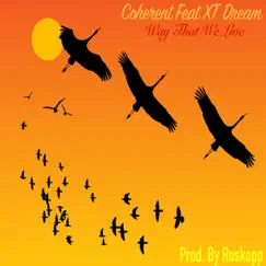Way That We Live (feat. XT Dream) [Live] - Single by Coherent album reviews, ratings, credits