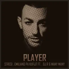 Player (feat. Emiliano (Pakufijt), DJ R & Many Many) Song Lyrics