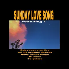 Sunday Love Song (feat. Cielo) - Single by NEV album reviews, ratings, credits