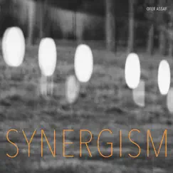 Synergism (feat. Adam Holzman & Alex Skolnick) Song Lyrics