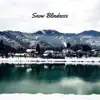 Snow Blindness album lyrics, reviews, download